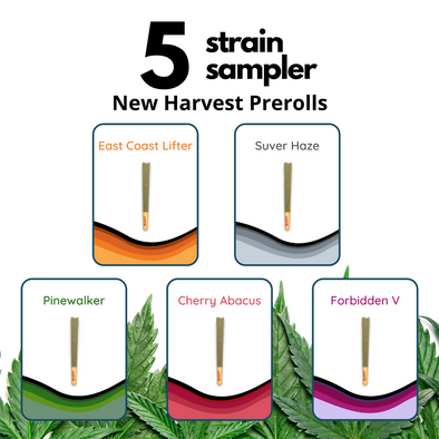 CBD Preroll Sample Packs